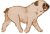 bulldog